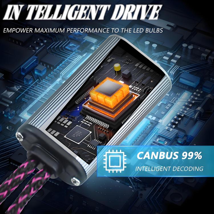 EDA008031202A_6.jpg@feda93430319802ebc524a090ab103fb