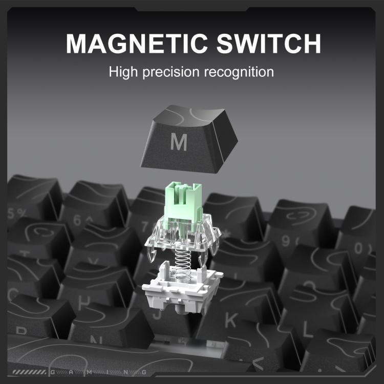 EDA008085201A_4.jpg@158ae075a3bd87a22b757991eade0c00