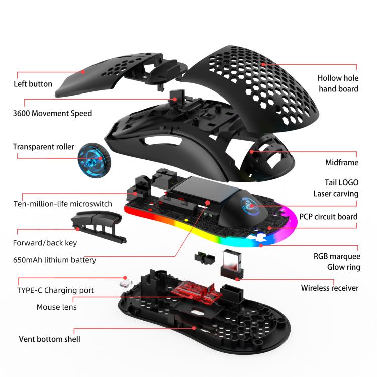 EDA008138701_B11.jpg@e912e65635dc8bb2862ece92cee1e3b9