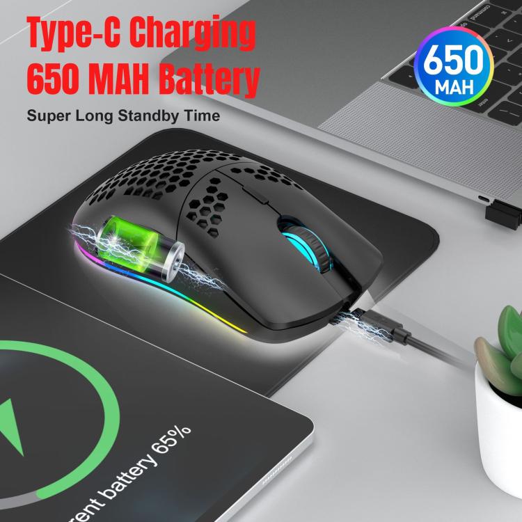 EDA008138701_B9.jpg@a438803ffd5b13377dc5b711d22d1419