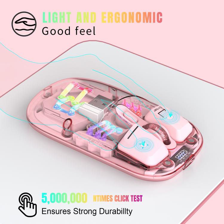 EDA008139501C_3.jpg@392a86aed5e45989175161e5962d6699