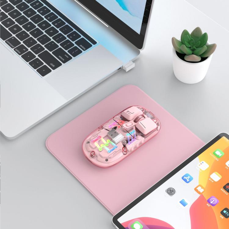 EDA008139501C_4.jpg@3ad7ec6227a274c31a6d86ab5c76583d