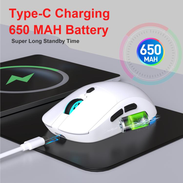 EDA0081633_B3.jpg@d1a8e6ad405af0e7bca9c6e22c9cff44