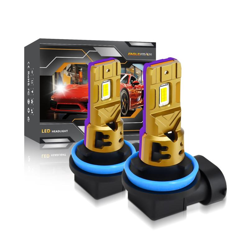 EDA008225406A.jpg@6798babc52dc3f093fcbba938ba33e87