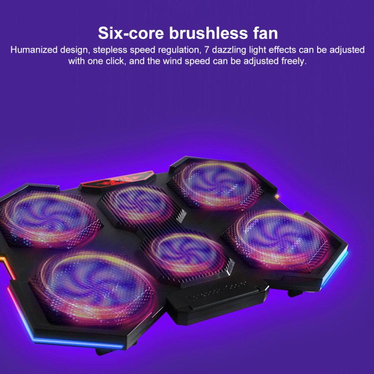 EDA008280901A_6.jpg@40c50fdd24fd4064e66968e6f3d48515