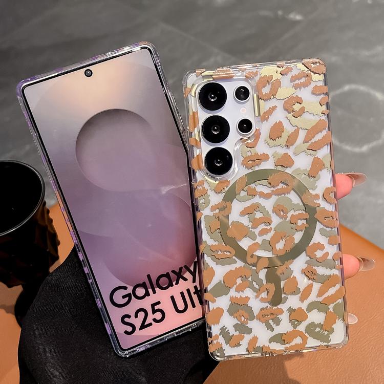 EDA0083790_B2.jpg@b3130018e5b569db7f56931ea92369d6