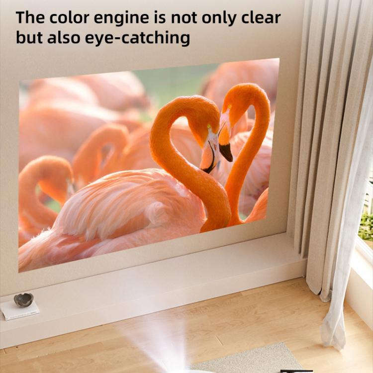 EDA0084358_B5.jpg@b62a491ae843127ac248ffc8b43e3498