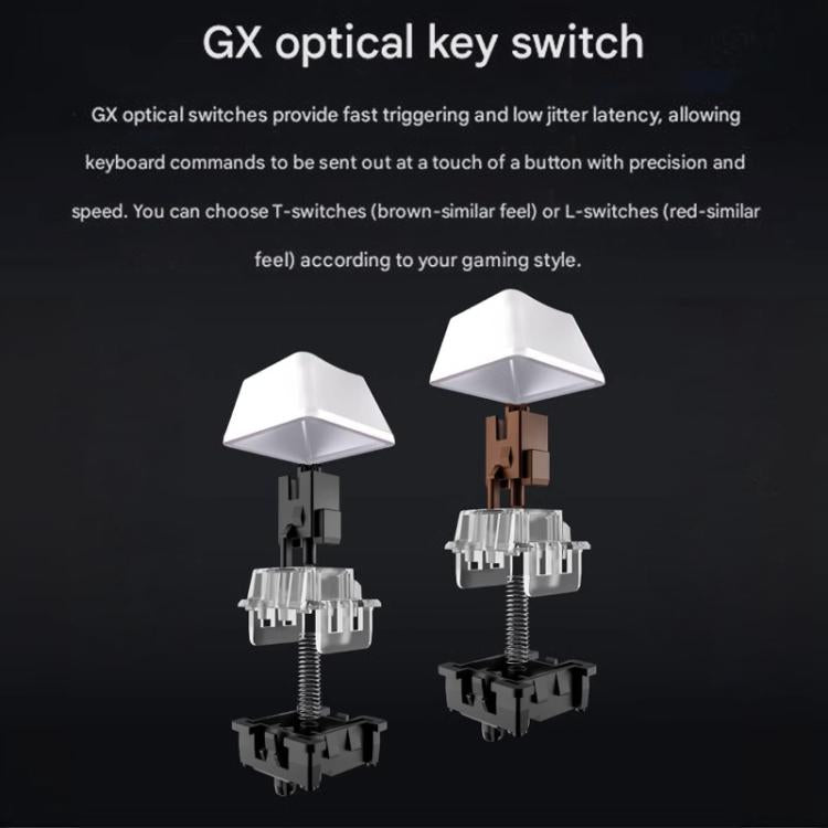 EDA0084459_B7.jpg@d86ea0bfec92a1d266892e652592e727