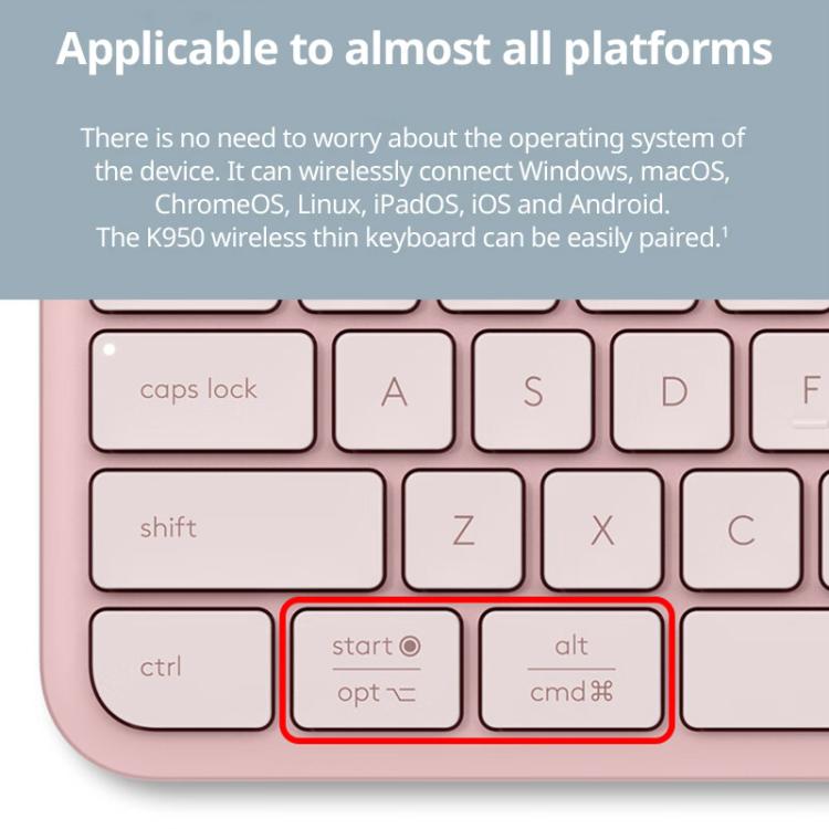 EDA0084577_B3.jpg@947e3460bd056cffd69c620c0ef54321