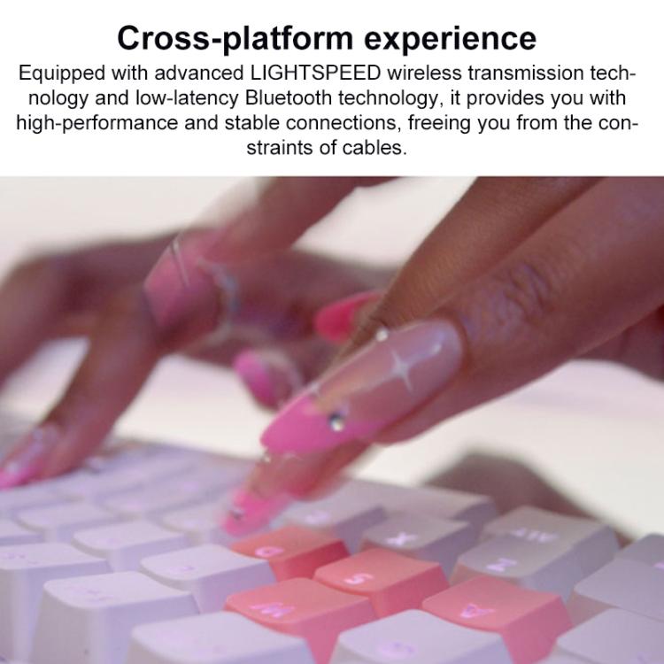 EDA008458501A_3.jpg@ddc9d7dfa0fba1682b424232b7f23b6f