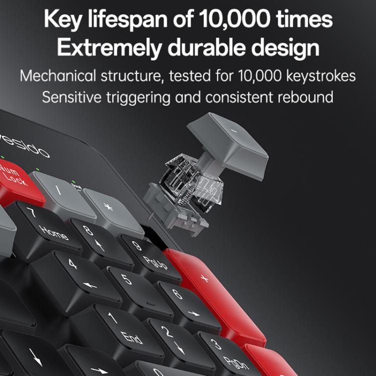 EDA0084963_B6.jpg@e9e0a58fa1fffcd3685accb9683ae14a