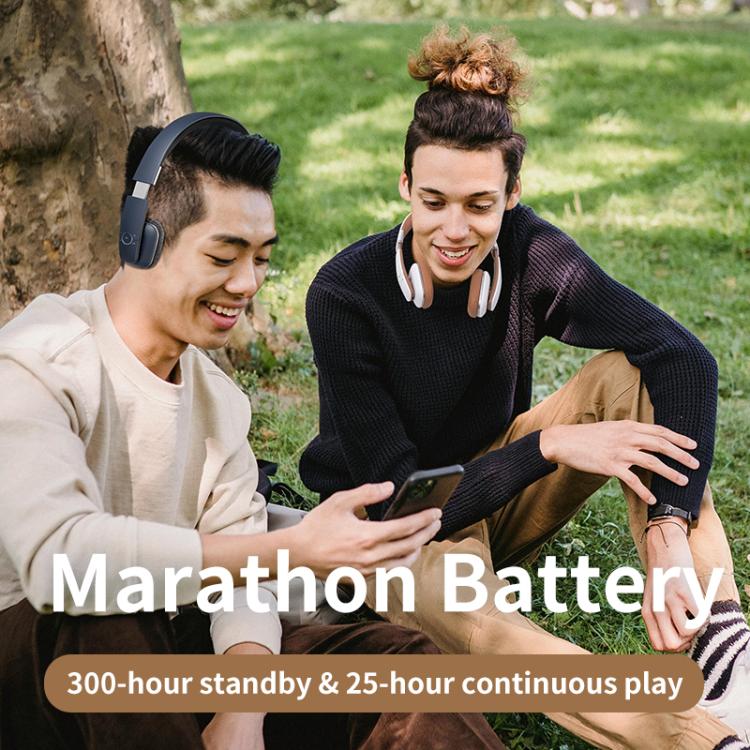 EDA0084989_B5.jpg@0abd7d1996a97ce7245c2a9b185f6cee