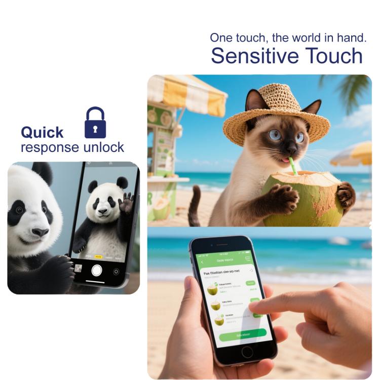 EDA008536505_6.jpg@19ca1d22f690d81d7b1ca97c56ed87d1