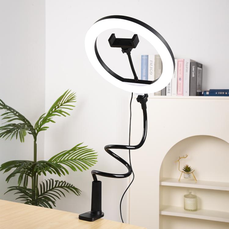 EDA0085570_B12.jpg@b4844923b6732b05499886fc05d9b8cc