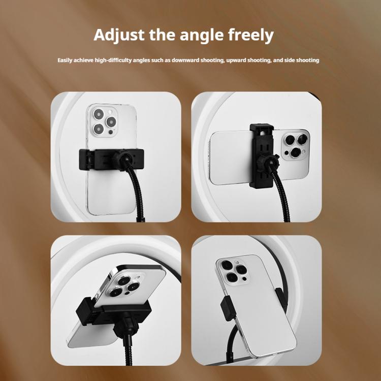 EDA0085570_B7.jpg@042ae3c40abc88e85aa8f8e314504645