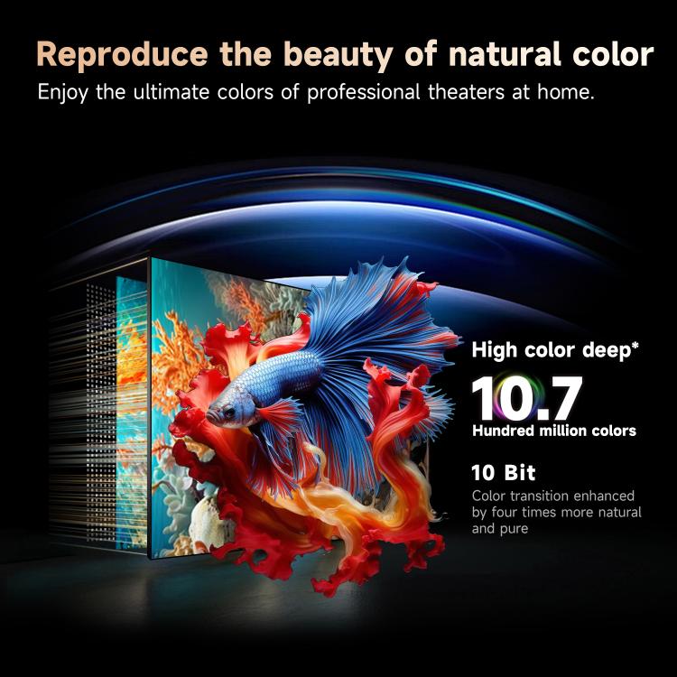 EDA0085701_B7.jpg@04ee8a862d93018d2bef33a77605d2d8