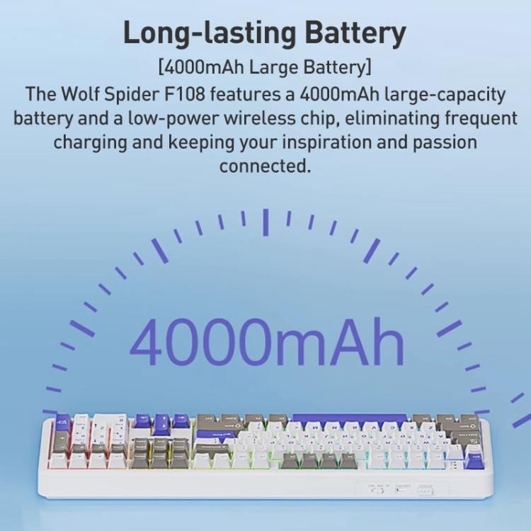 EDA0085754_B10.jpg@dd9b18c432bdd9f48e52faf334ad589b