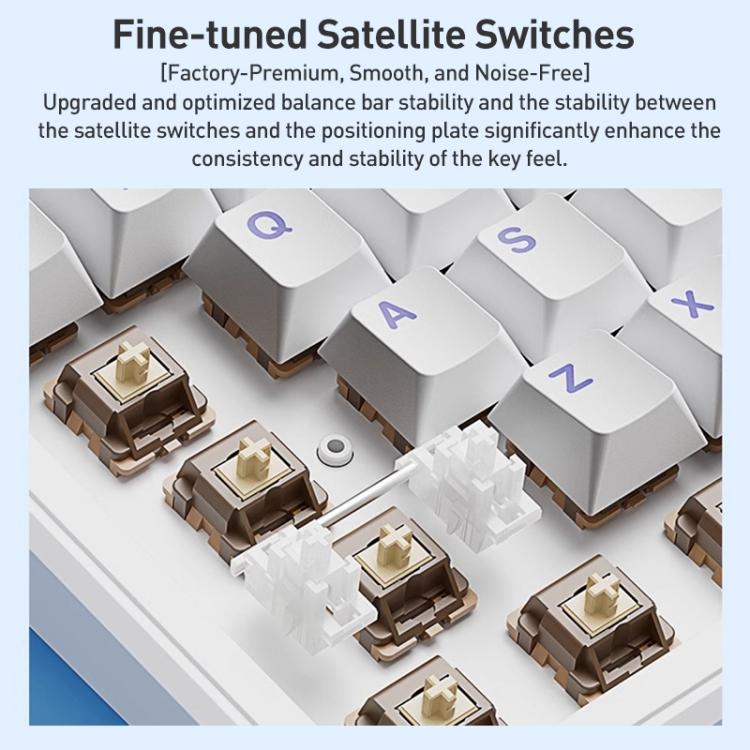 EDA0085754_B4.jpg@0671128bbe03d508f3af9195fa98bda3