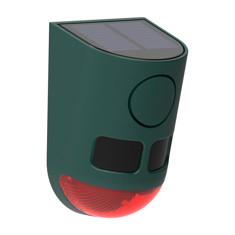 EDA008589601A.jpg@00f7b1f5d2e6a384ec29cc53bf121d4d