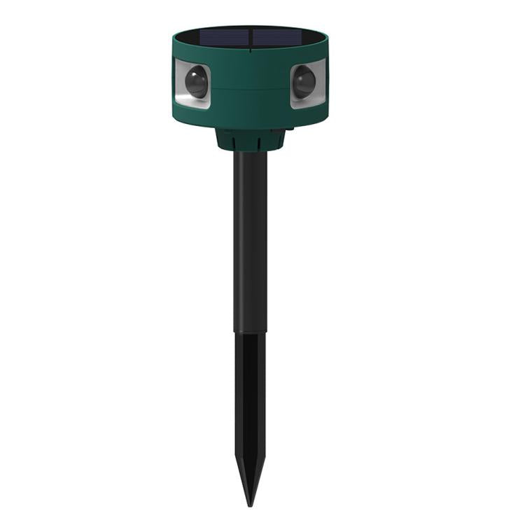 EDA0085904.jpg@e128b2c698d5b0244383eab25bf1e78d