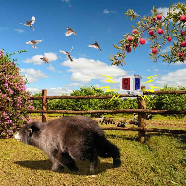 EDA0085908_8.jpg@b1e43a5e93479c3da25c06e6885fbc35