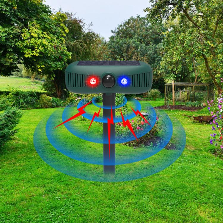 EDA0085924_7.jpg@da3c847f36780c6ef758a5abb85621e7