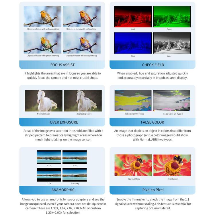 EDA008617501A_12.jpg@b76a75fd997f4164519829057b62f043