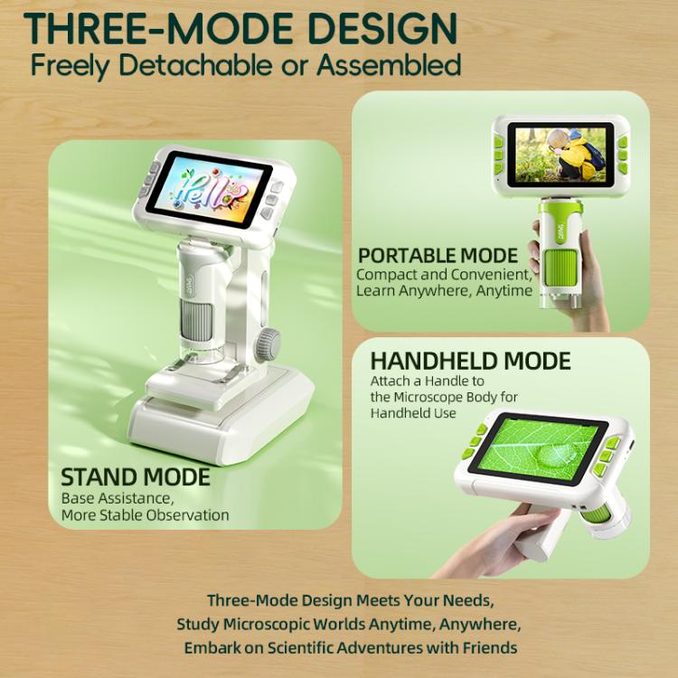 EDA008620801B_3.jpg@26d2297f00a075609ae4d621ae5eaa5f