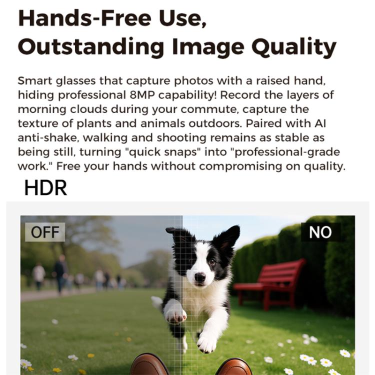 EDA0088169_B5.jpg@db5dceddc418e6f38bccf80c67cba535