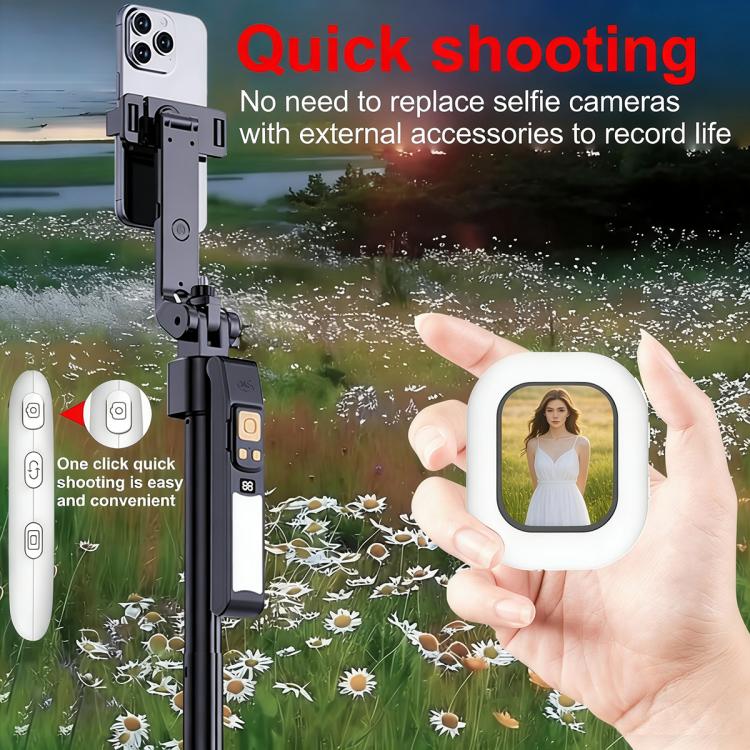 EDA0088484_B6.jpg@799ed220fabe8c3b823b8dc6f3185dcc