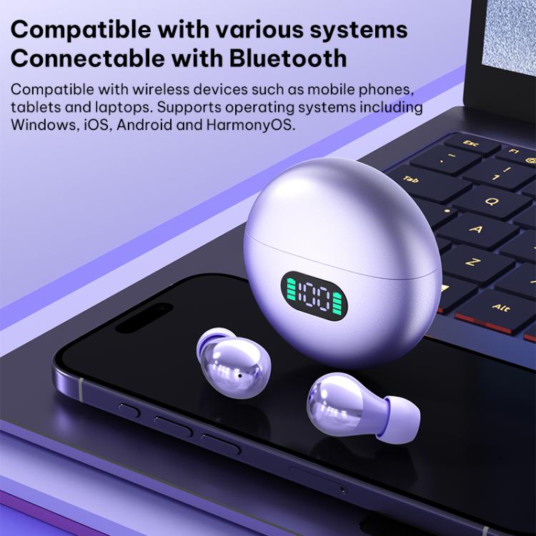 EDA008851601_B12.jpg@b9b1e25c40a188a751d4093eefa1216b