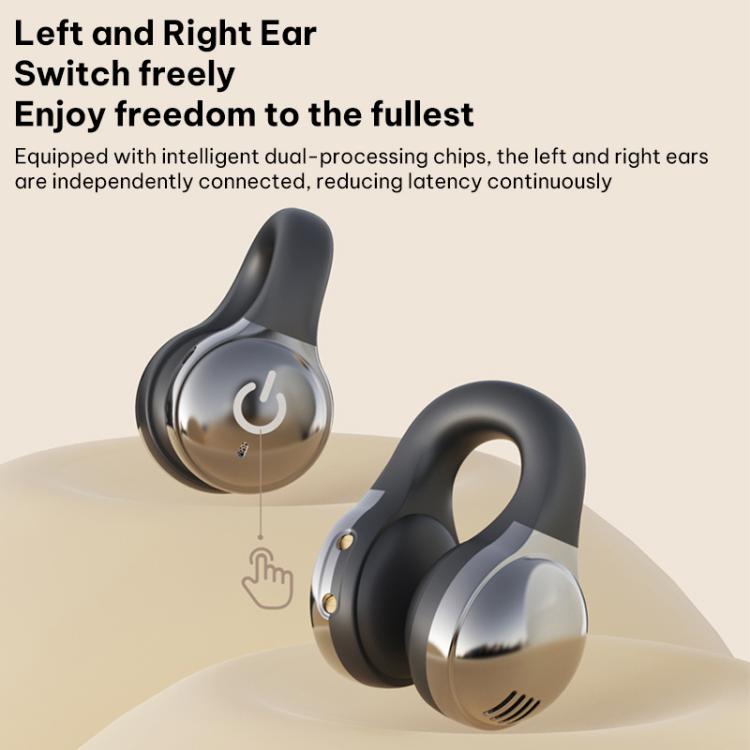 EDA008851801_B12.jpg@a8b72e00a891b701c677c36c21818742