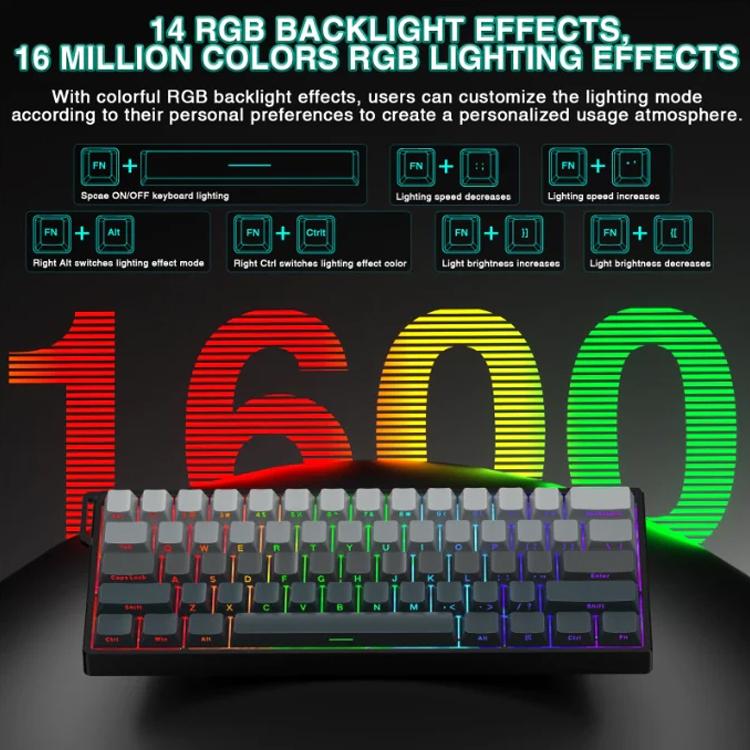 EDA008878801A_4.jpg@ad4fc886dd29a002c90d9e024ac1b4e3