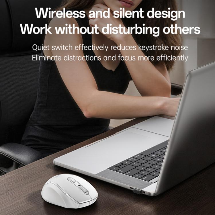 EDA0088895_B2.jpg@f2e40c1668ff44b7c65bd4872ab12583