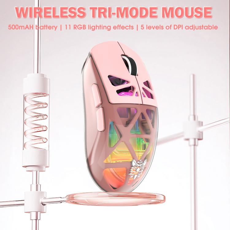 EDA008893301B_2.jpg@a83957b86486123b86b47e78e066e05d