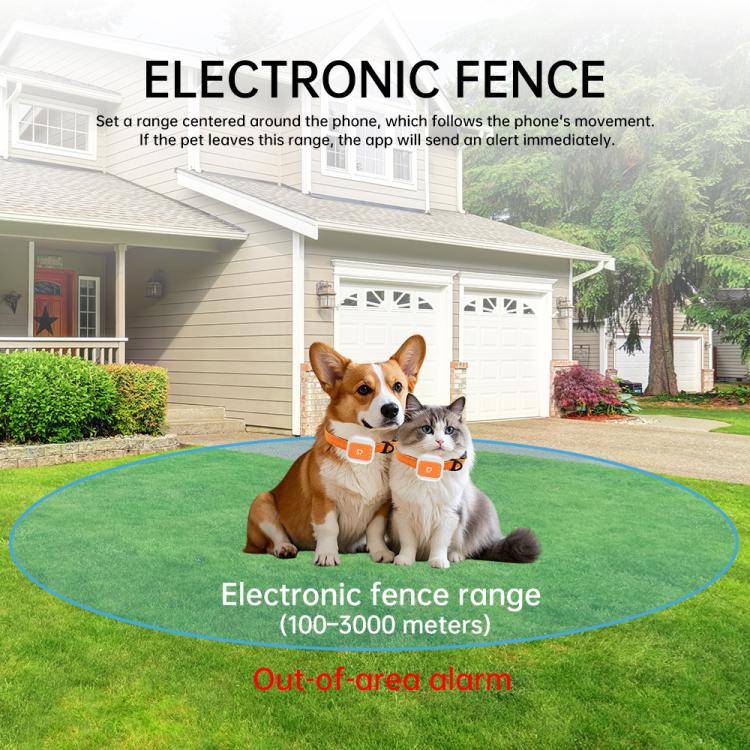 EDA008894501A_3.jpg@46fc3a5db67c84e7e8b45440cdc40a63