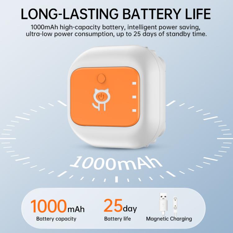 EDA008894501A_6.jpg@269acb9d3fdea22fb30648d86eeee423