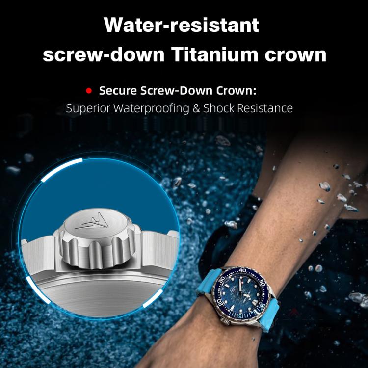 EDA0089162_B11.jpg@c28dcc56cbccf148af0912489b79a452