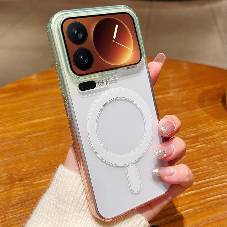 EDA008928501A.jpg@6c21de99a87aa251198d5536ad50d330