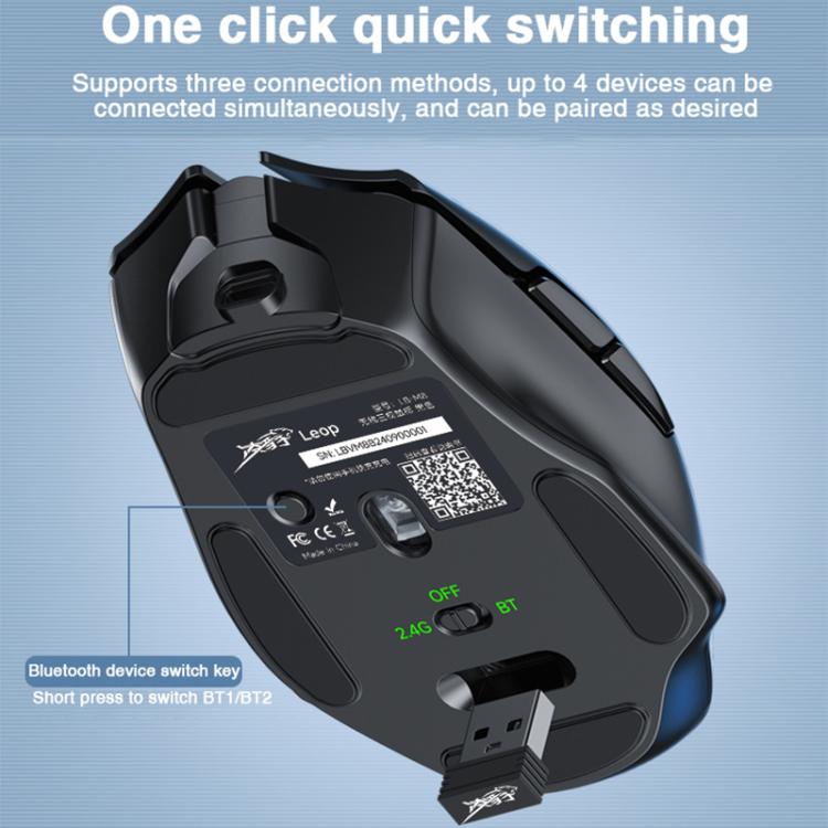 EDA0089679_B6.jpg@10feaa9789f5652c6c39539f638a0cf0