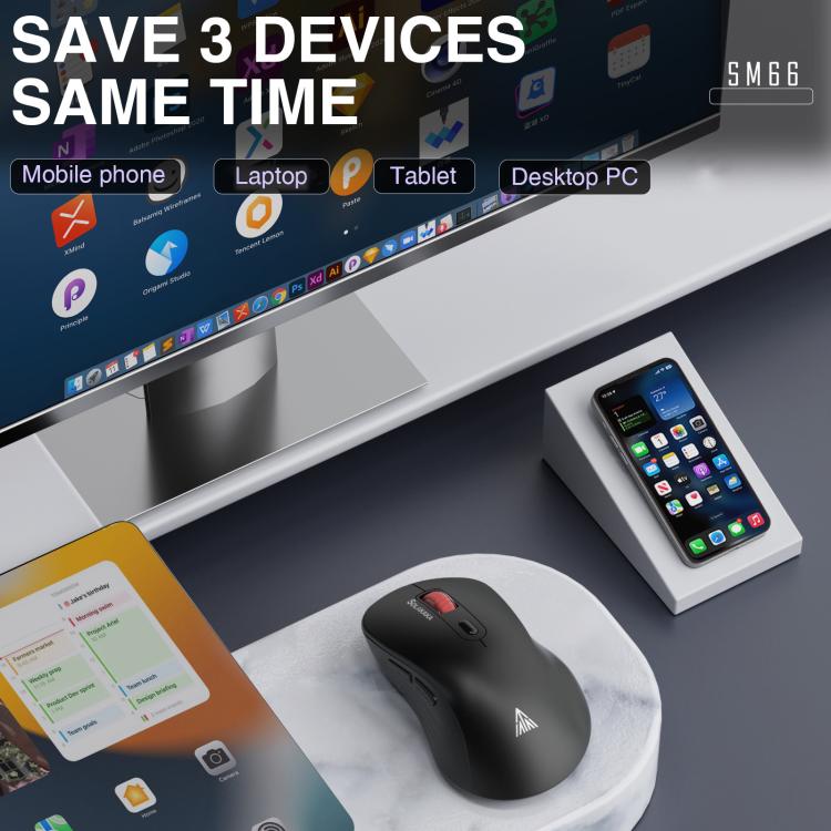 EDA008968601B_2.jpg@bd2c6b556cb58fa387de93215dba07e6