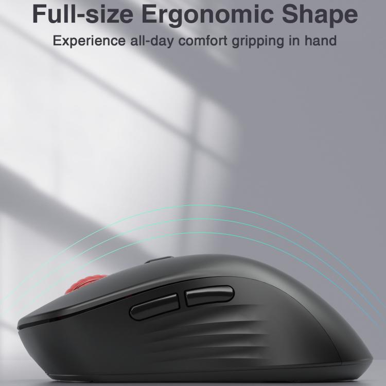 EDA008968601B_5.jpg@8b097a7e0a9ad2711357ddc53ec84f3e