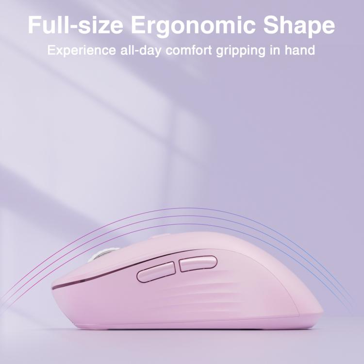 EDA008968601D_5.jpg@ffdf703bb990e0806651e75ca329d0ac