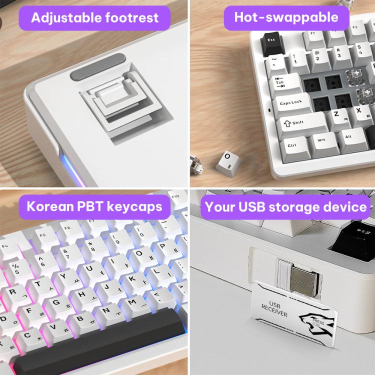 EDA008972302_5.jpg@36f7679eb4bd3d54340146dd88fa93f4