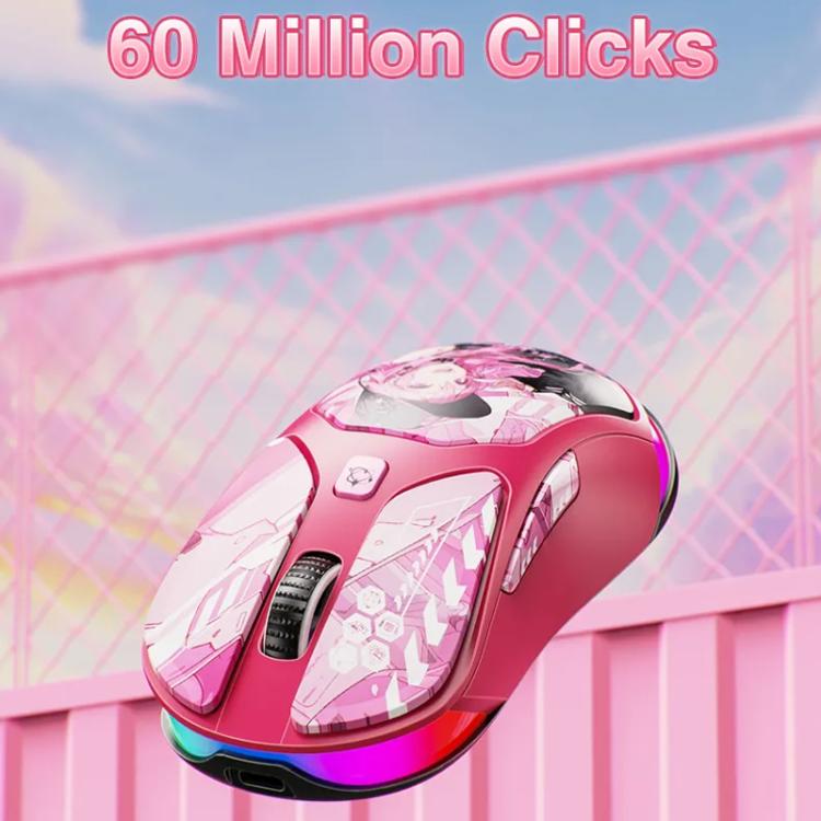 EDA0089731_B5.jpg@48b68a4fa09abd41edb1015f50851ac0