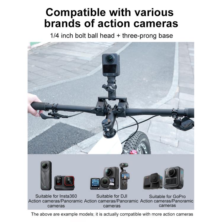 EDA0090089_B7.jpg@8679ebe721058e3d8b00b5440485c91e