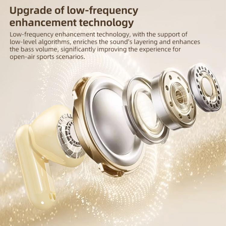 EDA0090580_B3.jpg@7f5ecea6da50f8bebf8666ec0b14fb7d