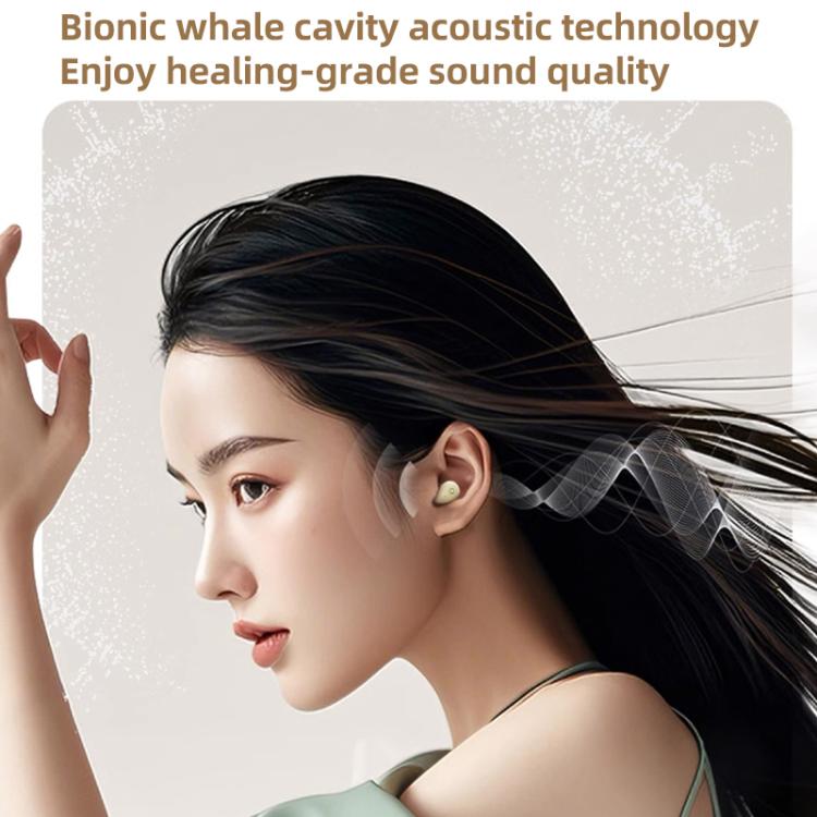 EDA0090599_B3.jpg@00ec4551b093b5efb1e08d46b524043d