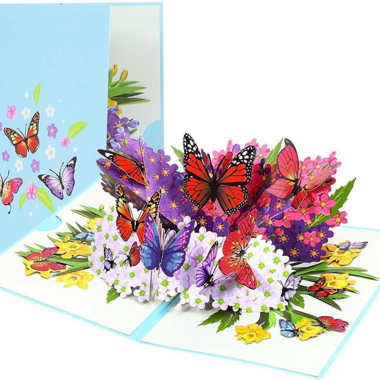 EDA009773201A.jpg@d974fcc146fce26dd9b4f7d4e6039405