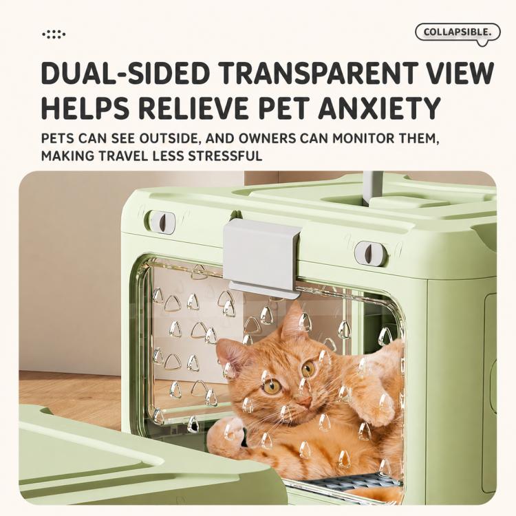EDA0100293_B5.jpg@37eebef78006762089b151964d05d62a